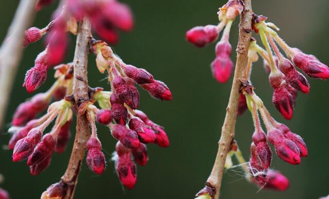 endlich Farbe in der Natur