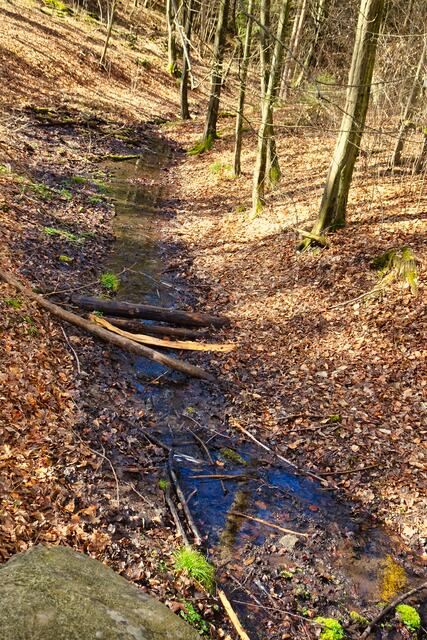 optische Täuschung! Anscheinend fließt das Wasser aus der Stahlquelle bergauf zur kleinen Wipper