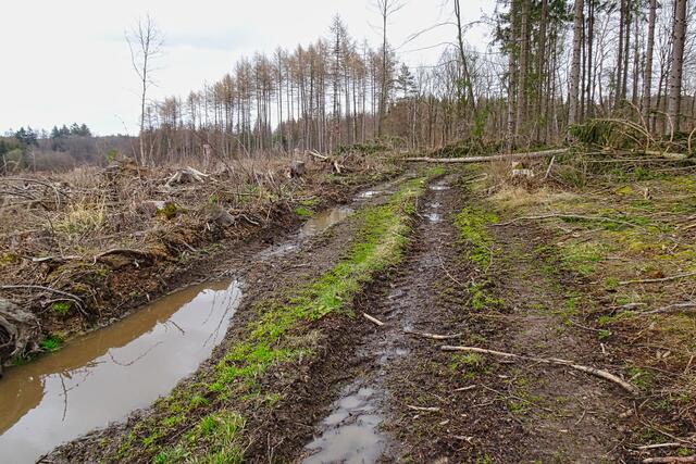 durch die Abholzung der toten Fichtenwälder wurde der Bergbaurundwanderweg stark in Mitleidenschaft gezogen