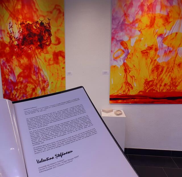 Das Vorwort zur Ausstellung von Künstlerin Susanne Schumacher ist von Professorin Valentina Stefanescu, von der Fakultät of Art and Design, Timisoara
