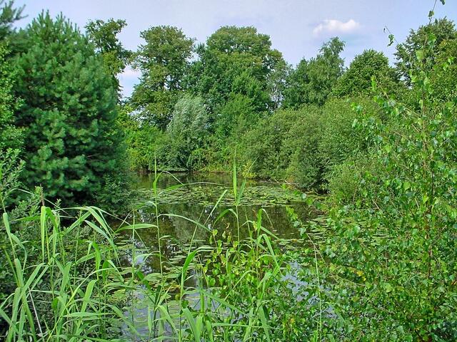 Natur pur am Mühlensee