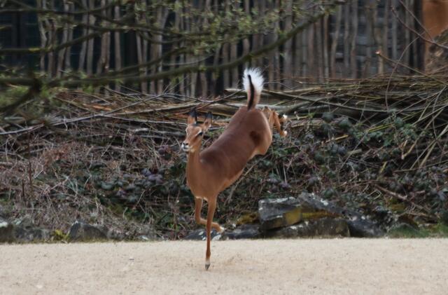 Sportlich