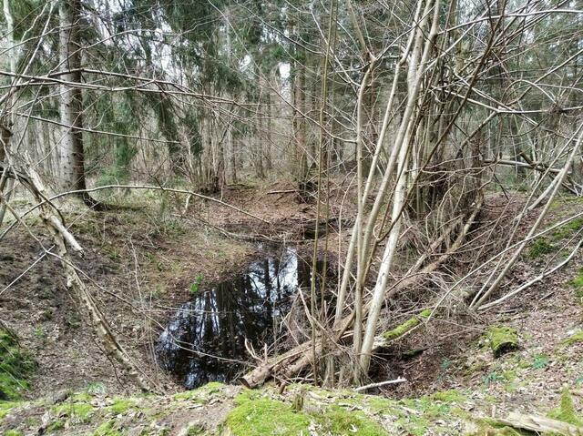 Doppeltrichter der Fliegerbomben.