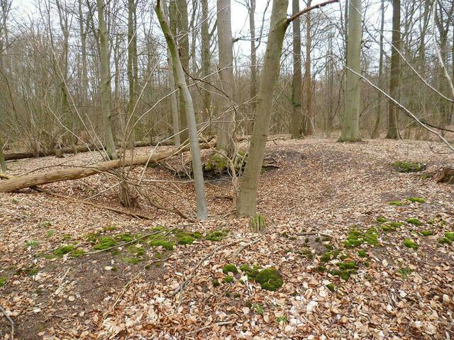 Das Werk der Erosion nach über 75 Jahren.