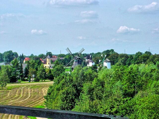 Blick auf Bergholländermühle Immanuel und die mediteranen Mühlen am Mühlensee