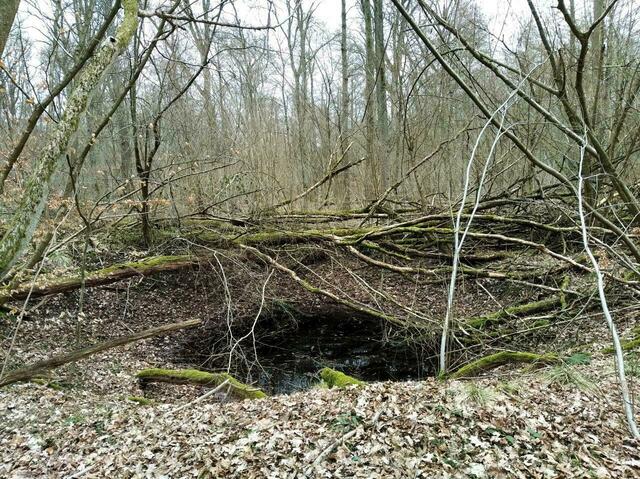 Trotz Tarnung eindeutig: Der Kreis und der Konus.