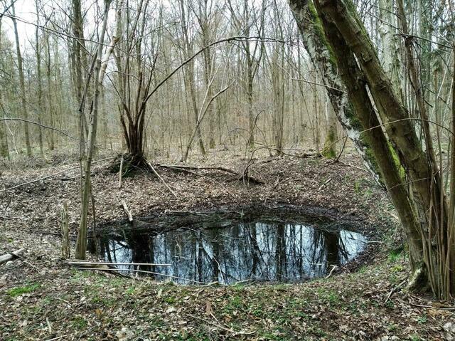 Die Geometrie ist hier schon mehr verwittert.
