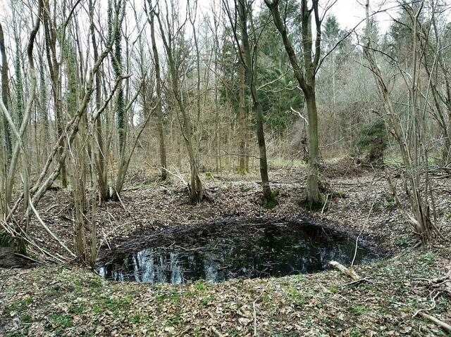 Ob mit oder ohne Wasser, jeder Bombentrichter wird von der Naturschutzbehörde Celle als „Kleingewässer gem. § 4 Abs. 8“ bezeichnet.