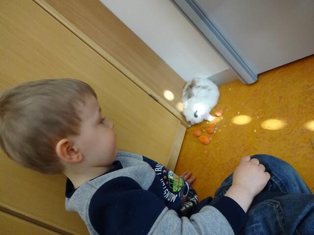 Was fressen die Hasen gerne? Das durften wir direkt ausprobieren.