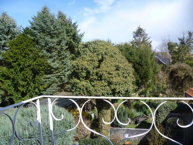 Gut, dass die Sonne mal wieder scheint !