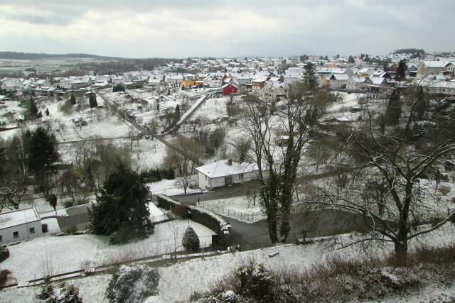 Im Bild 5 ist der frühere Barockgarten der Neuburg, der Hain und der südliche Teil des Hofenstücks zu sehen. Am oberen Rand stehen am Horizont die Häuser der Gartenstraße und Am Beiersborn.