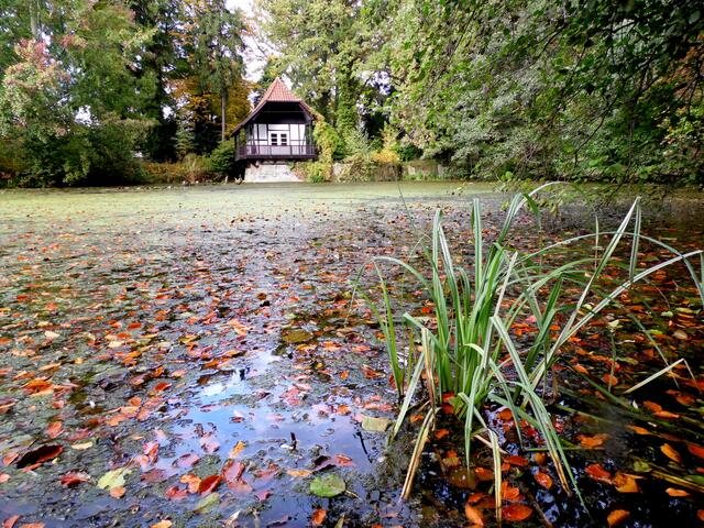 Mit einer vielfältigen Pflanzenansammlung aus aller Welt, ist der Park des Westfalenhofes der Tierärztlichen Hochschule nach dem Berggarten der wichtigste Botanische Garten der Stadt.