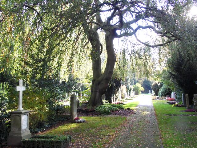 Friedhöfe, wie hier der besonders schöne Engesohder Friedhof mit seinen vielen Grabdenkmälern, sind grüne Oasen der Stille.