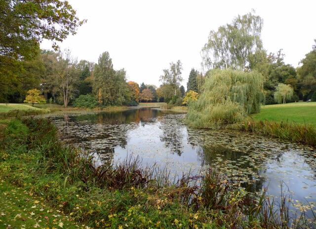 Der Stöckener Friedhof hat einen eindrucksvollen Landschaftspark zu bieten.