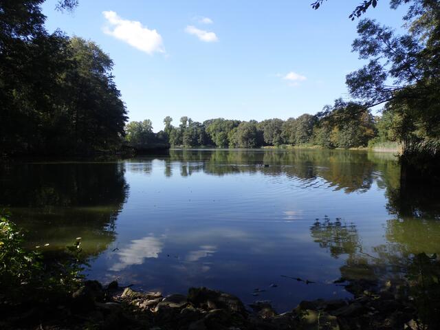 Nebenan, als Übergang zur Eilenriede, liegt der Hermann-Löns-Park, ein Landschaftspark, der aus einem Sumpfgebiet entstanden ist.