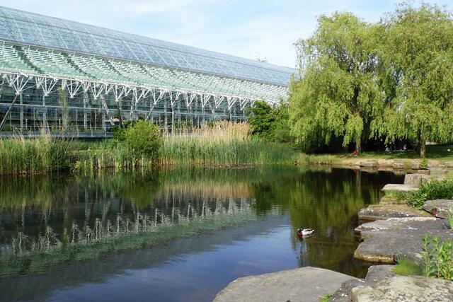 Seit gut 20 Jahren gibt es den Kattenbrook-Park in Bemerode. Er bietet viele Freizeitmöglichkeiten in schöner Umgebung. Aus der Nachbarschaft zum futuristischen Rechenzentrum der Sparkassen bezieht er seinen besonderen Reiz.