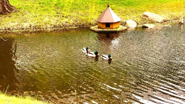 9. April 2021. Wir haben heute Besuch im Park! Bleibt gesund!
