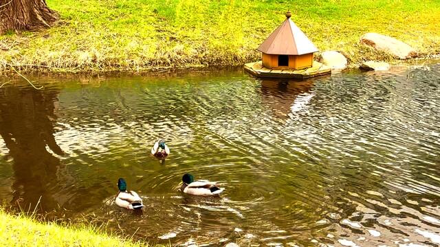 9. April 2021. Wir haben heute Besuch im Park! Bleibt gesund!