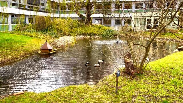 9. April 2021. Wir haben heute Besuch im Park! Bleibt gesund!
