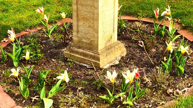 9. April 2021.  Blick in unseren Park. Bleibt gesund!