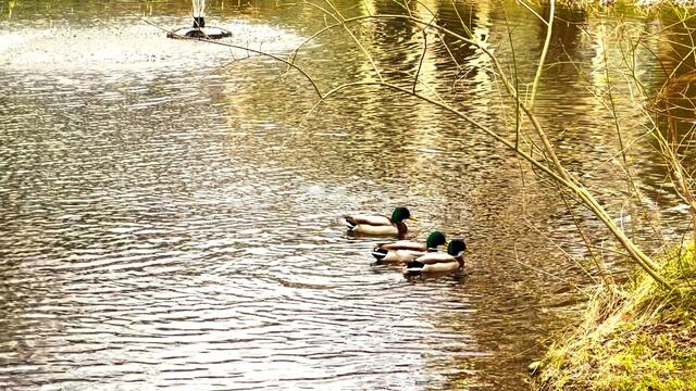 9. April 2021. Wir haben heute Besuch im Park! Bleibt gesund!
