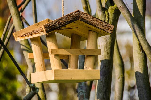 das Vogelhäuschen