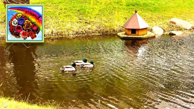 9. April 2021. Wir haben heute Besuch im Park! Bleibt gesund!