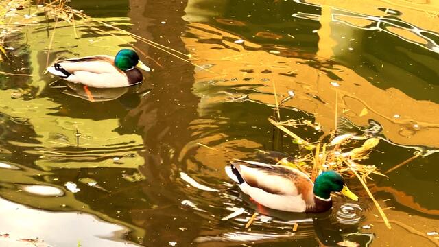 9. April 2021. Wir haben heute Besuch im Park! Bleibt gesund!