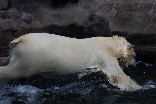 ab ins Wasser