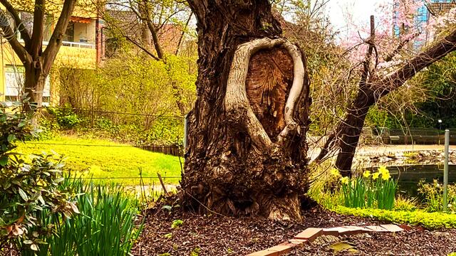 15. April 2021. Ein "Herz" in unserem Park! Bleibt gesund!