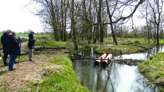 Seit 15.04.2021 ein Bypass im Biberdamm