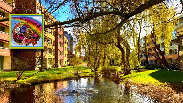 12. April 2021. Entenbesuch in unserem Park! Bleibt gesund!