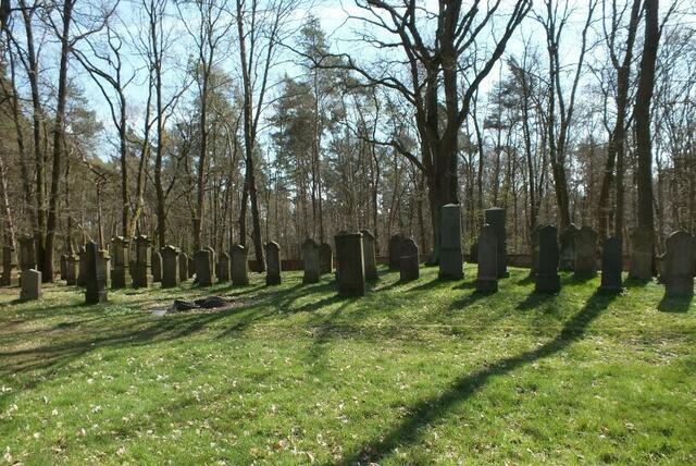 Der JUdenfriedhof liegt auf einem Hügel