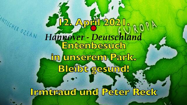12. April 2021. Entenbesuch in unserem Park! Bleibt gesund!