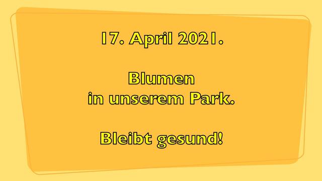 17. April 2021. Blumen in unserem Park. Bleibt gesund!