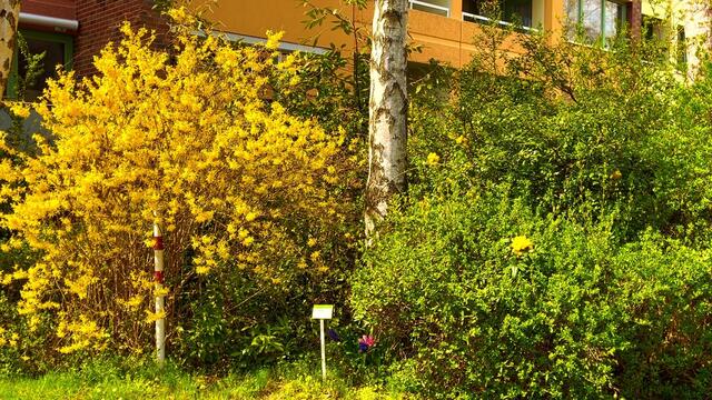 18. April 2021. Spaziergang im Park. Bleibt gesund!