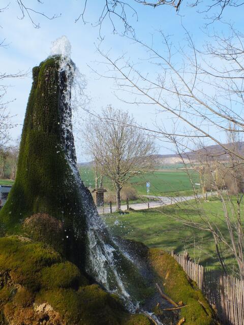 Wasserbaum