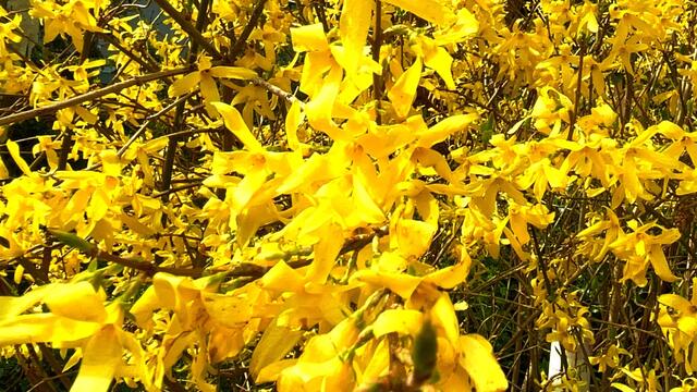 18. April 2021. Spaziergang im Park. Bleibt gesund!