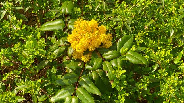 18. April 2021. Spaziergang im Park. Bleibt gesund!