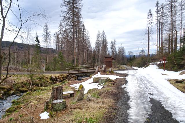 Moosbrücke mit der Kleinen Bode