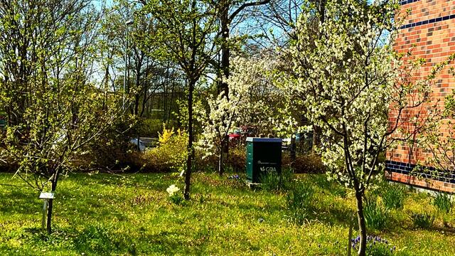 20. April 2021. Unsere fleißigen Bienen. Bleibt gesund!