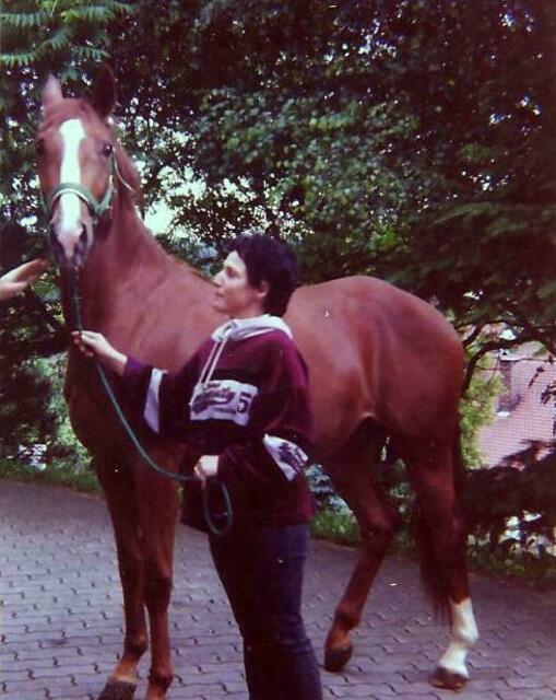 Auf der Reitanlage mit drei Jahren eingezogen. Sie hatte noch Heimweh!