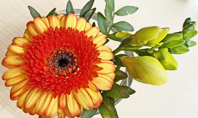 23. April 2021. Tischdekoration. Gerbera. Bleibt gesund!