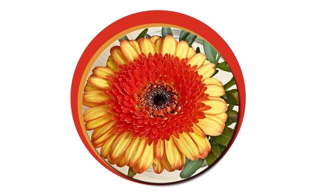 23. April 2021. Tischdekoration. Gerbera. Bleibt gesund!