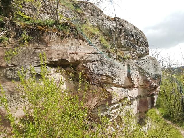 O'Brian immer vorneweg - Wanderung durch den Sandsteinbruch Nebra am 25.4.2021 !