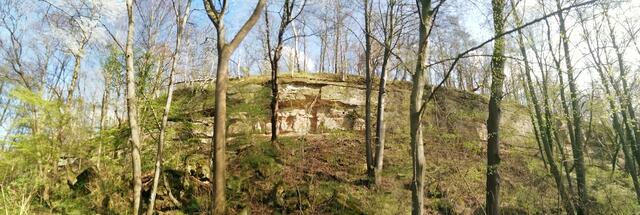 O'Brian immer vorneweg - Wanderung durch den Sandsteinbruch Nebra am 25.4.2021 !