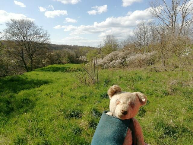 O'Brian immer vorneweg - Wanderung durch den Sandsteinbruch Nebra am 25.4.2021 !