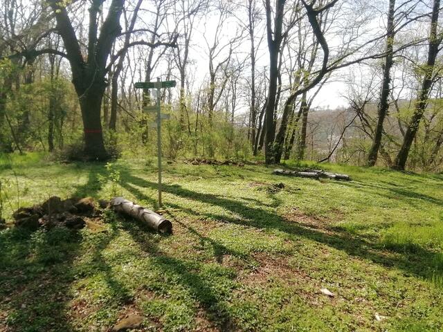 O'Brian immer vorneweg - Wanderung durch den Sandsteinbruch Nebra am 25.4.2021 !