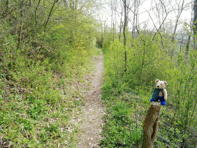 O'Brian immer vorneweg - Wanderung durch den Sandsteinbruch Nebra am 25.4.2021 !