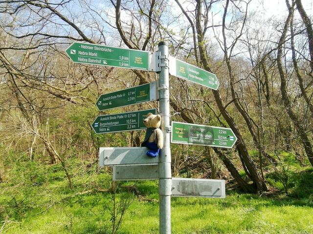 O'Brian immer vorneweg - Wanderung durch den Sandsteinbruch Nebra am 25.4.2021 !